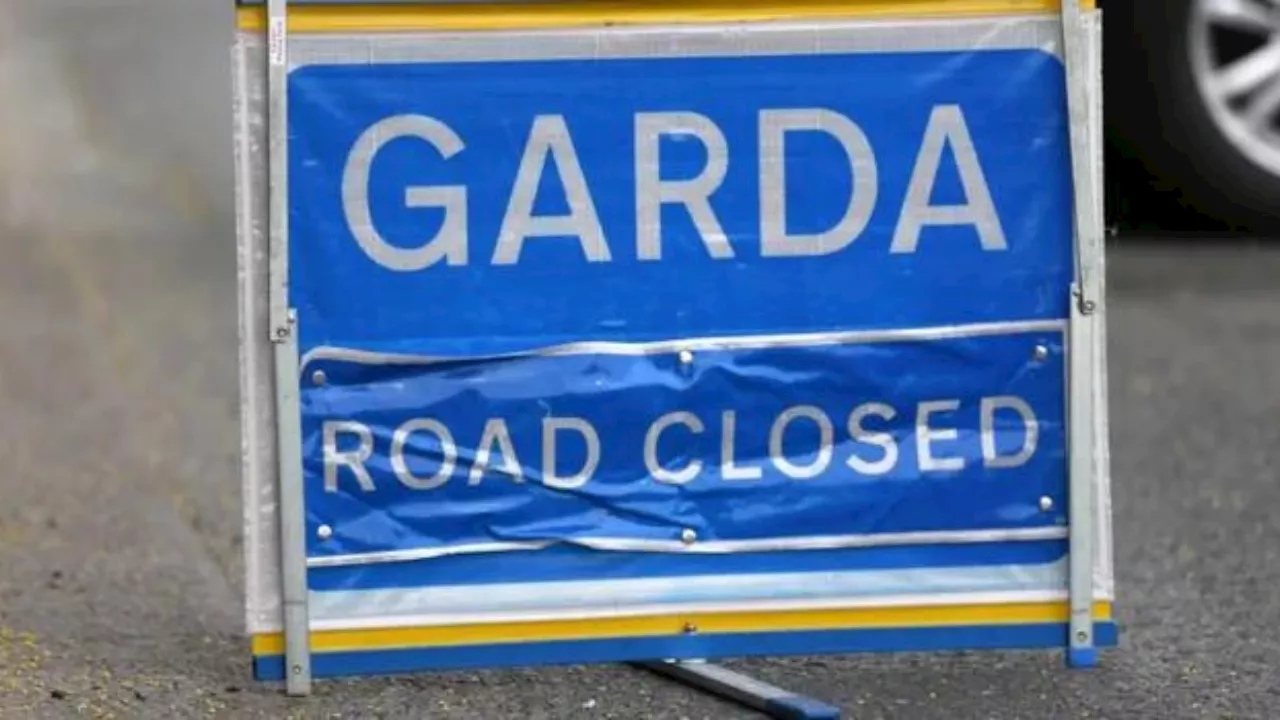 Garda suspended after GAA coach dies in hit-and-run crash