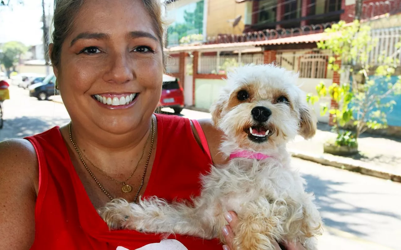 Cadela resgatada pela Prefeitura de Nova Iguaçu após temporal ganhará novo lar