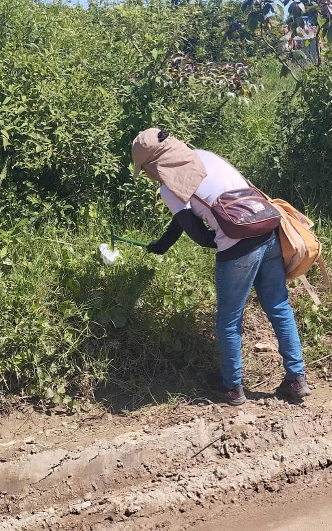 Prefeitura de Araruama realiza Dia D contra a dengue no bairro Parati