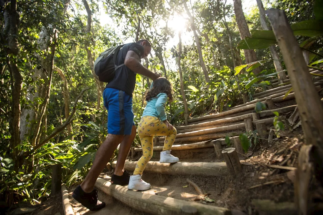 Saiba como subir de graça, e a pé, até o Morro da Urca