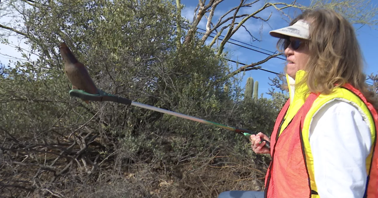 Gates Pass neighbors team up to clean their streets on Westside