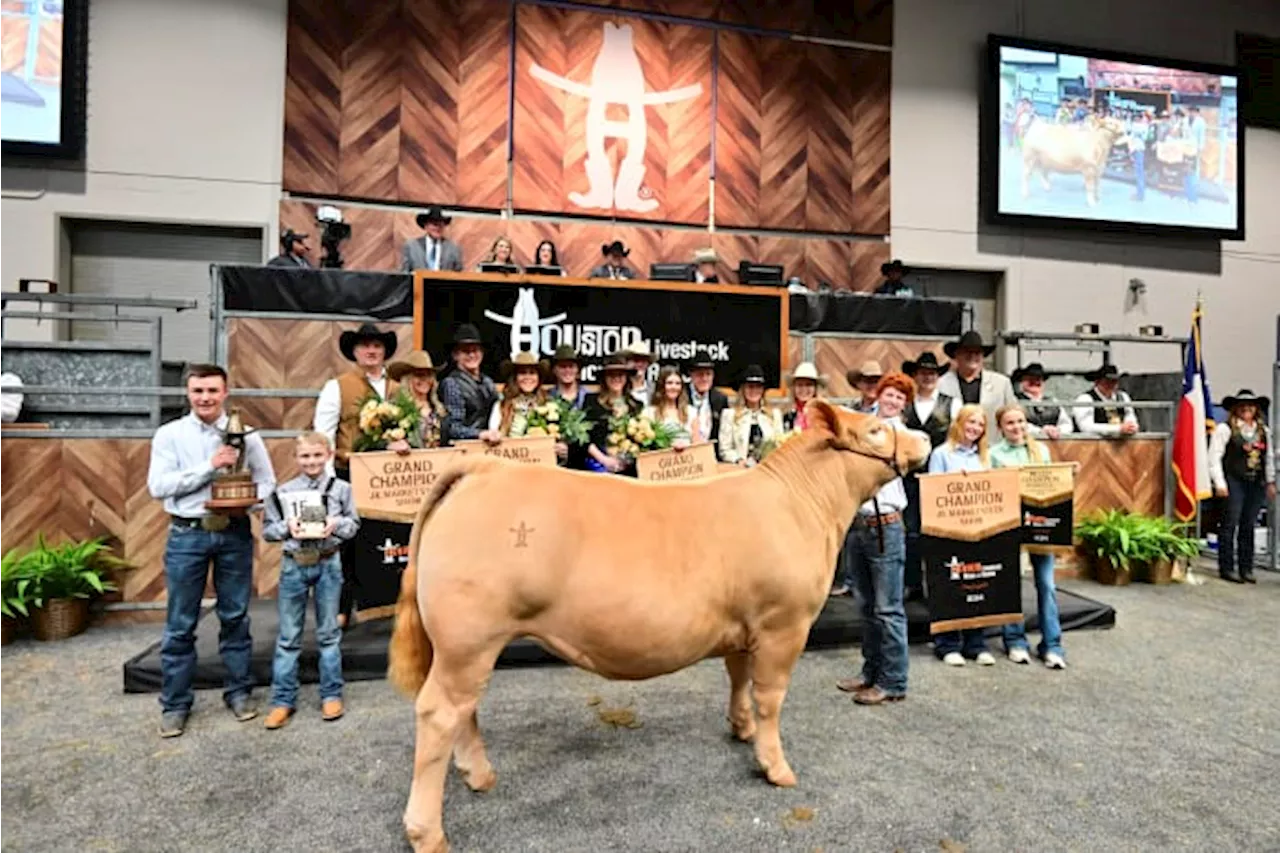 Holy cow! Jr. Market Steer Grand Champion sells for $1 million, ties record