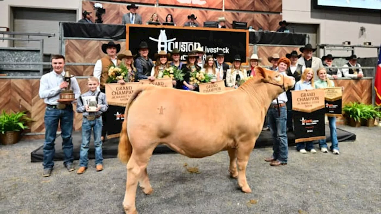 Grand Champion steer sells for record-tying $1 million at Houston rodeo