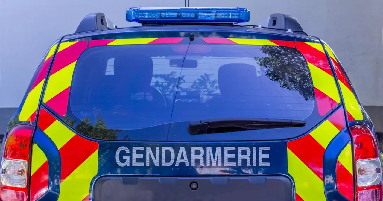 Yvelines : les gérants d'une entreprise d'exploitation forestière interpellés pour trafic de bois