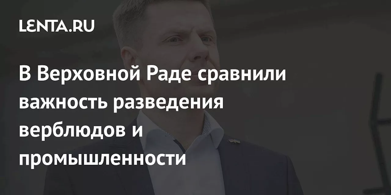 В Верховной Раде сравнили важность разведения верблюдов и промышленности