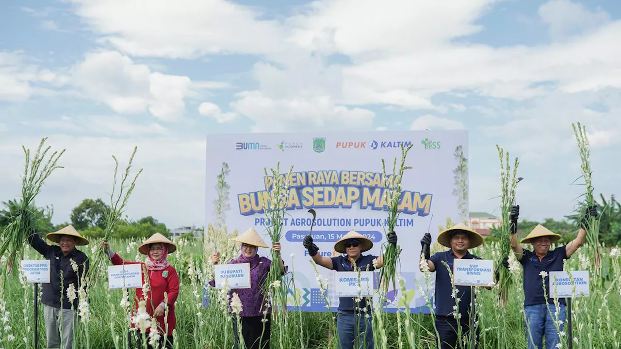 Pupuk Kaltim Gelar Panen Raya di Rembang, Petani Makin Untung