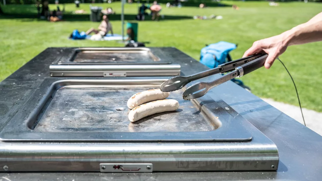 «Wir können niemanden zwingen»: Das Projekt Ufschötti-Grill wird trotz geringer Nachfrage weitergeführt