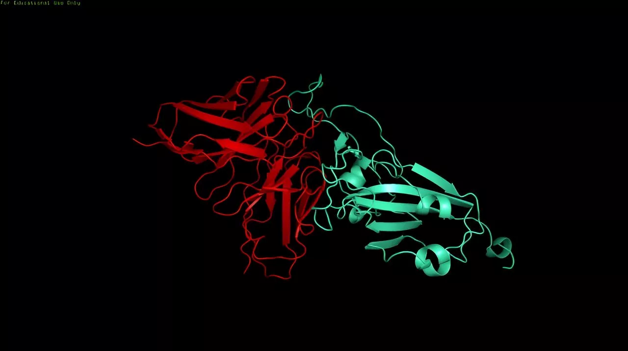 Mutations do not predict the severity of current variants of SARS-CoV-2, finds study