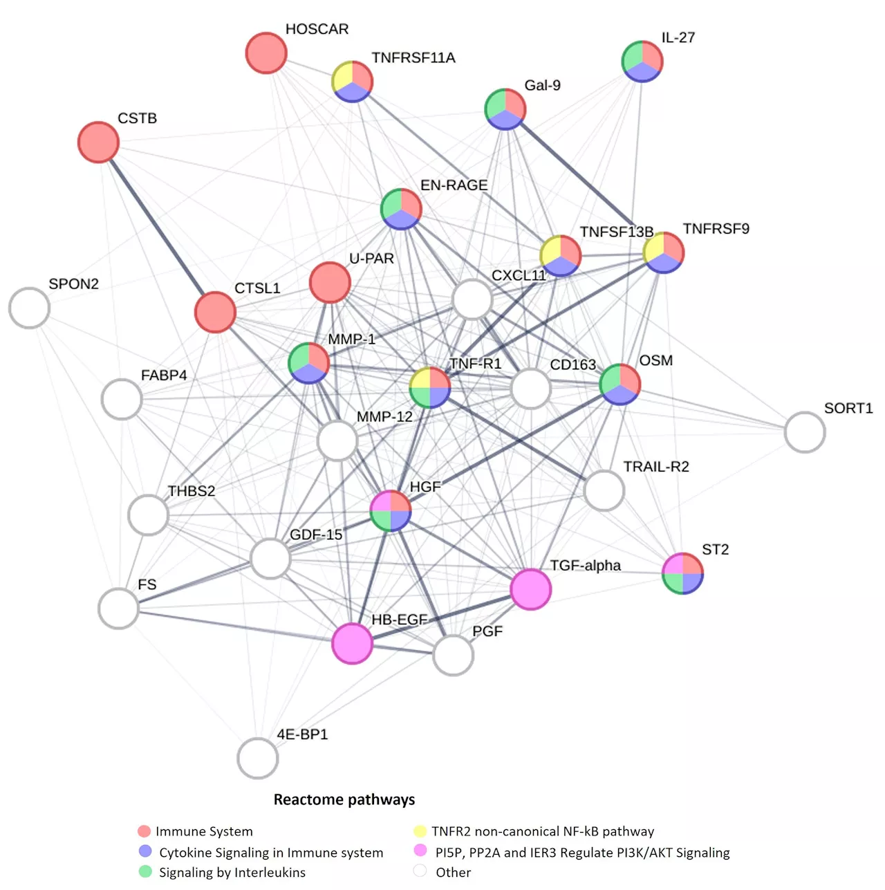 Potential novel biomarkers of coronary heart disease discovered