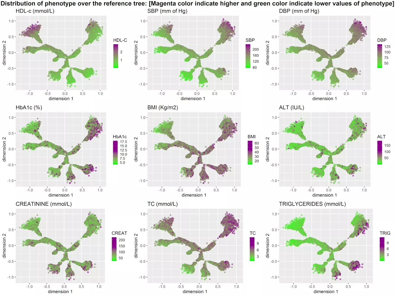 Researchers use algorithm to provide innovative insights into the heterogeneity of type 2 diabetes