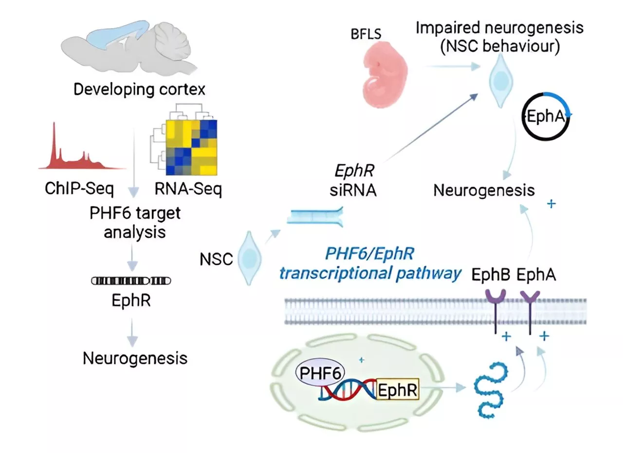 Shining a light on the genetic underpinnings of a rare disease impacting children