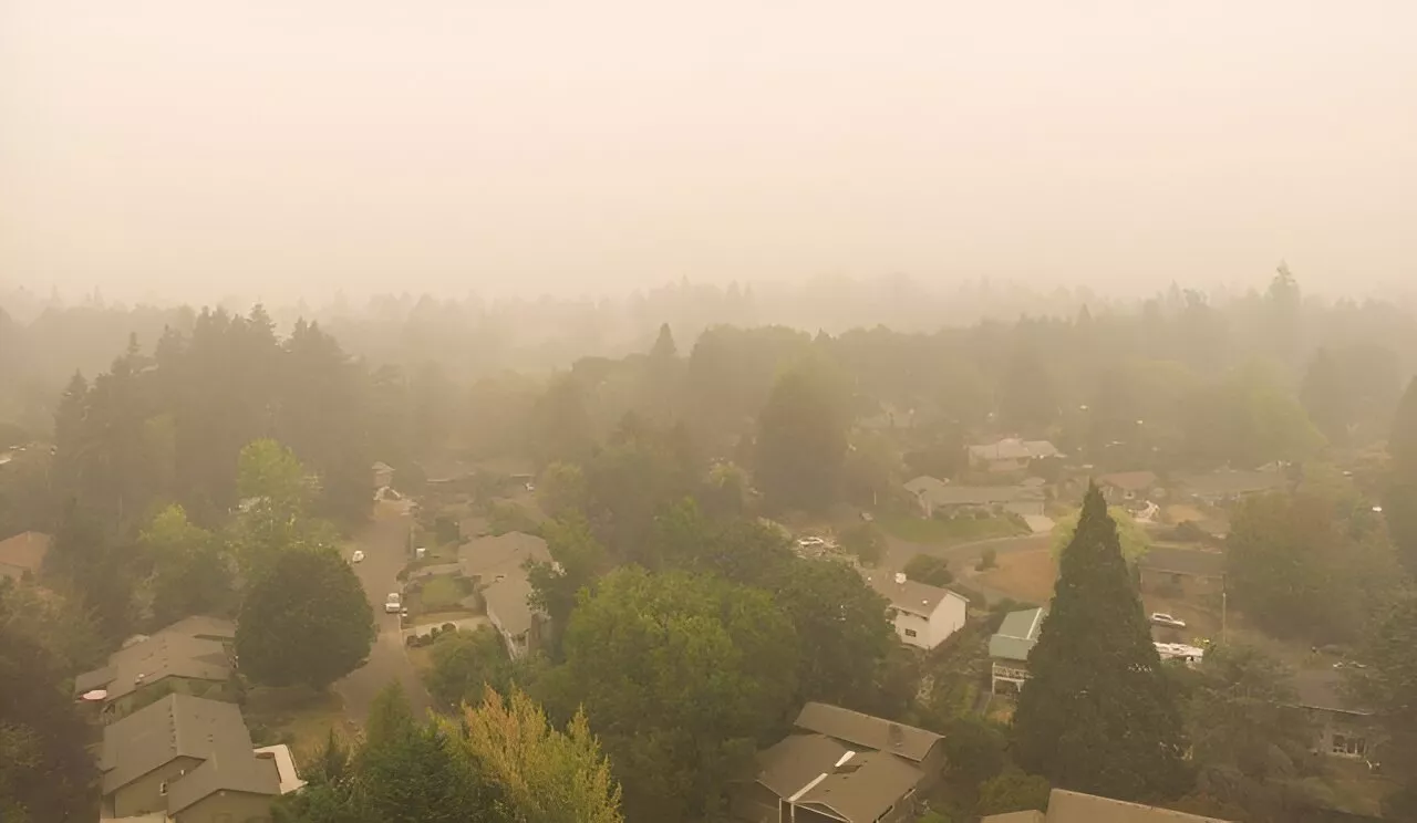 Study finds adult acne clinic visits increase with exposure to wildfire-related air pollution