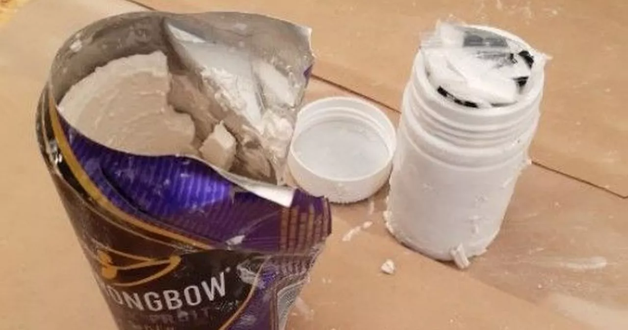 Creamfields security guards' shock after opening cans of Strongbow Dark Fruit