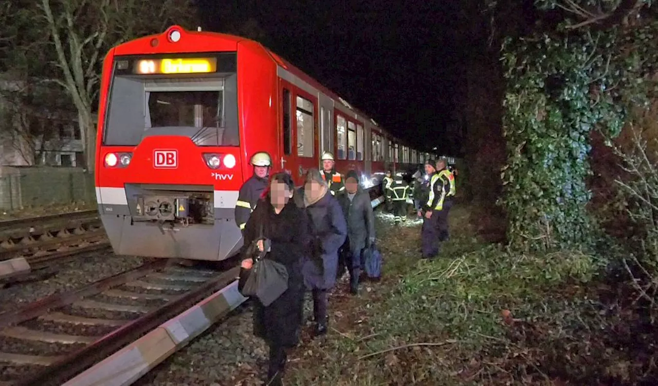 Kriminelle werfen E-Scooter und Fahrrad auf Gleise: S-Bahn in Hamburg evakuiert