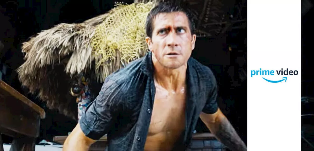 Jake Gyllenhaal spielt Hauptrolle in Road House-Remake