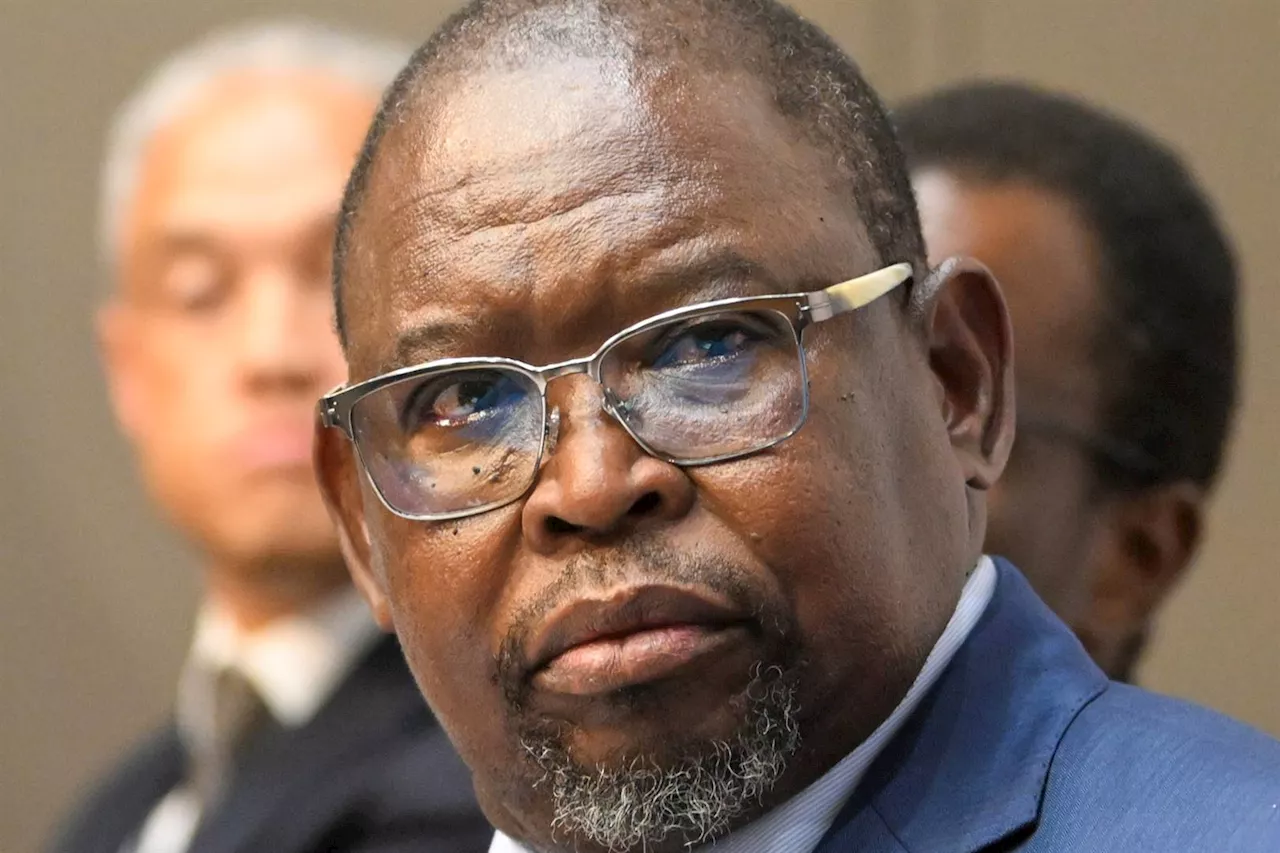 Godongwana slams Nelson Mandela Bay over R20bn 'wasteful expenditure', top official's suspension