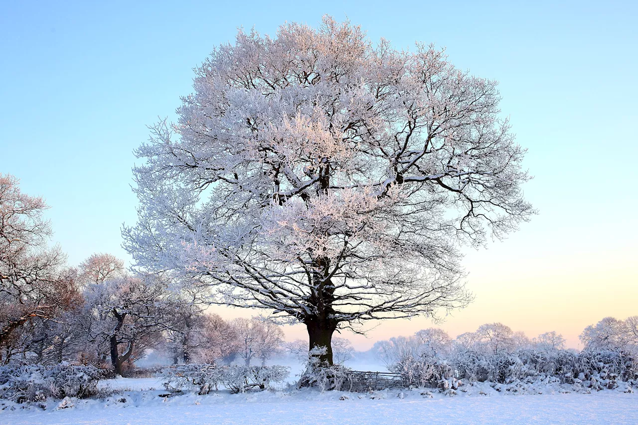 Weather Alerts Issued in 10 States as Temperatures Plunge