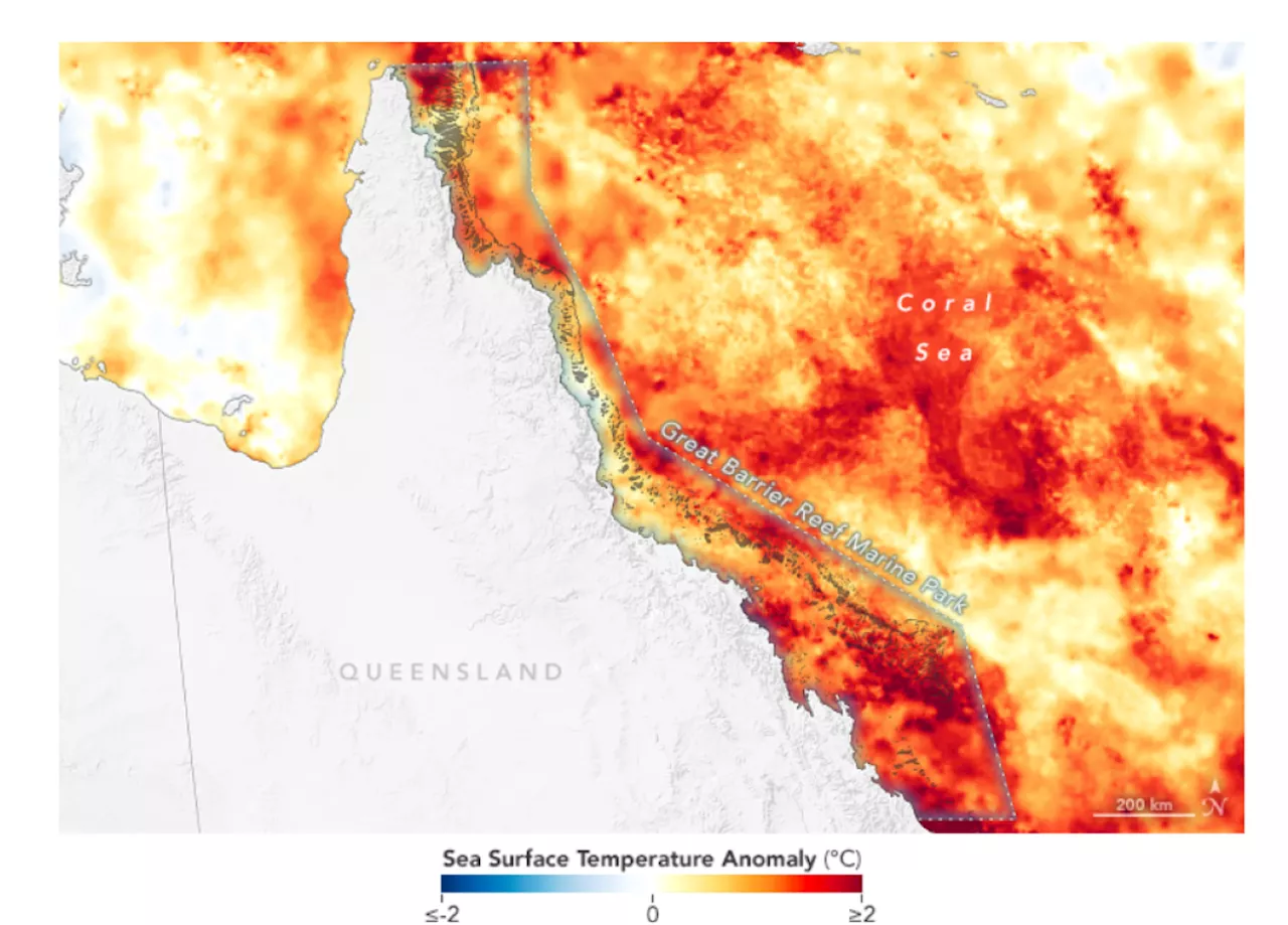 'Widespread' Heat Stress on Great Barrier Reef Revealed in Satellite Image