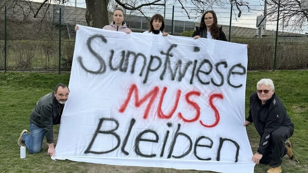 Kampf um Erhalt der Mödlinger „Sumpfwiese“