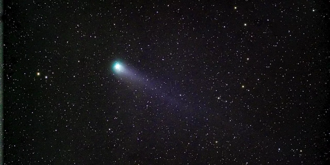 Nur alle 71 Jahre zu sehen: 'Teufelskomet' mit Kurs auf Erde bald am Himmel