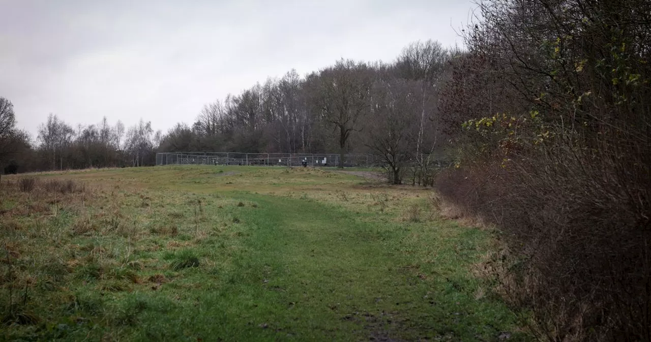 New Nottinghamshire country park planned to memorialise D.H. Lawrence and mining history