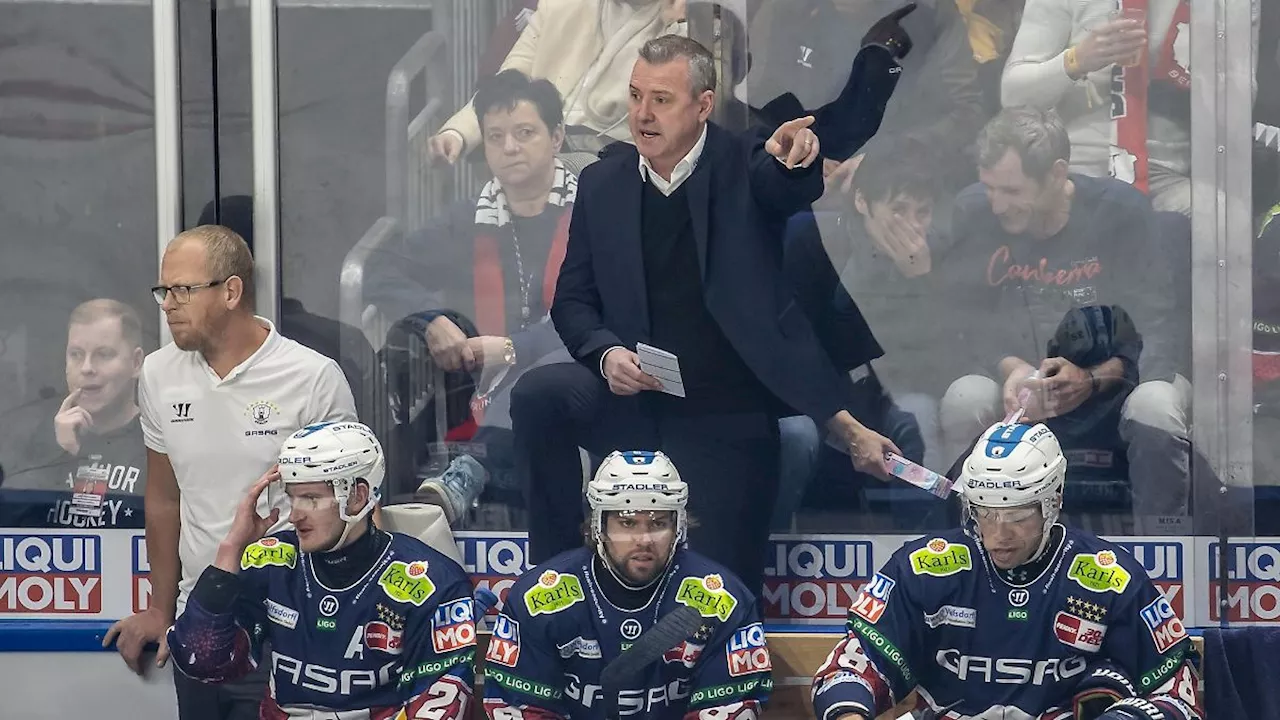 Berlin & Brandenburg: Eisbären-Coach: 'Wir haben keine Zeit für Selbstmitleid'