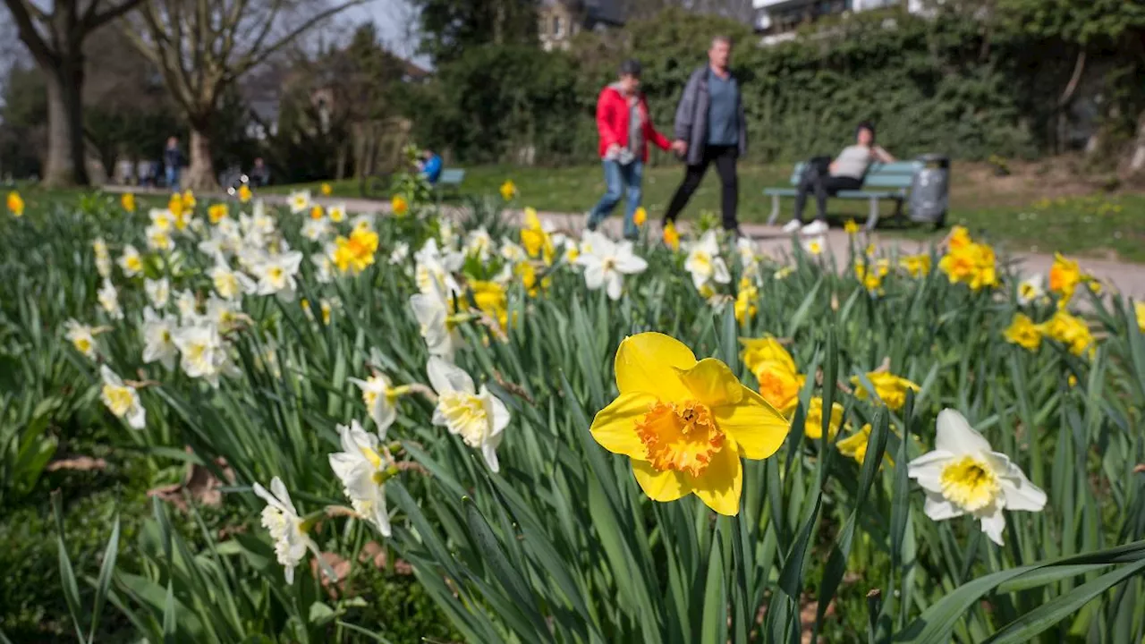 Nordrhein-Westfalen: Wetter in NRW: Milde Temperaturen und gelegentlich Regen