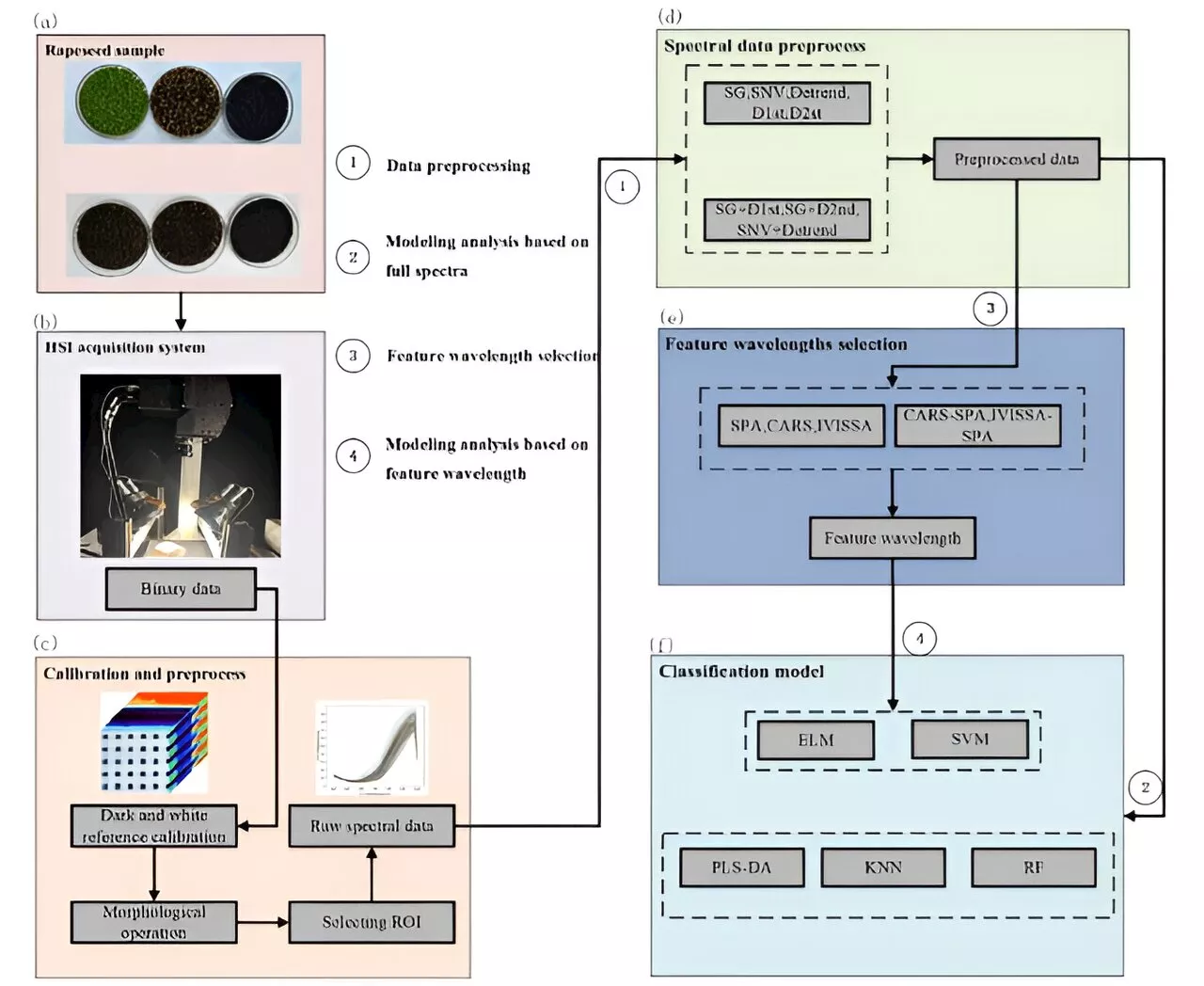 Enhancing rapeseed maturity classification with hyperspectral imaging and machine learning