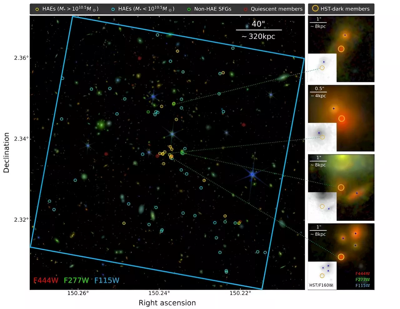 JWST observations shed more light on the nature of a distant galaxy cluster