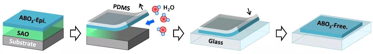 Researchers develop novel 'super-tetragonal' sacrificial layer for freestanding oxide membranes