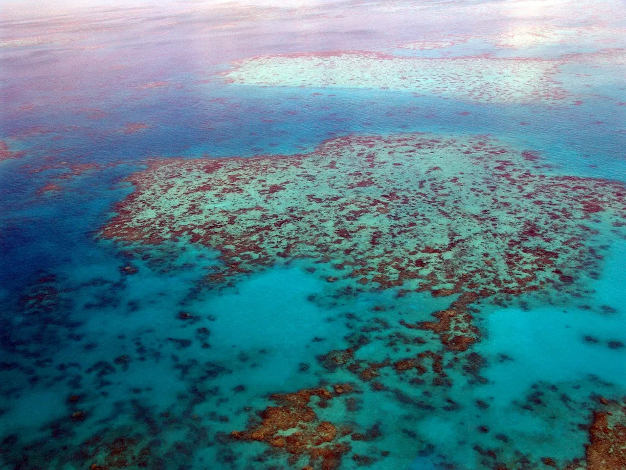 Scientists find evidence of a wetter world, recorded in Australian coral colony