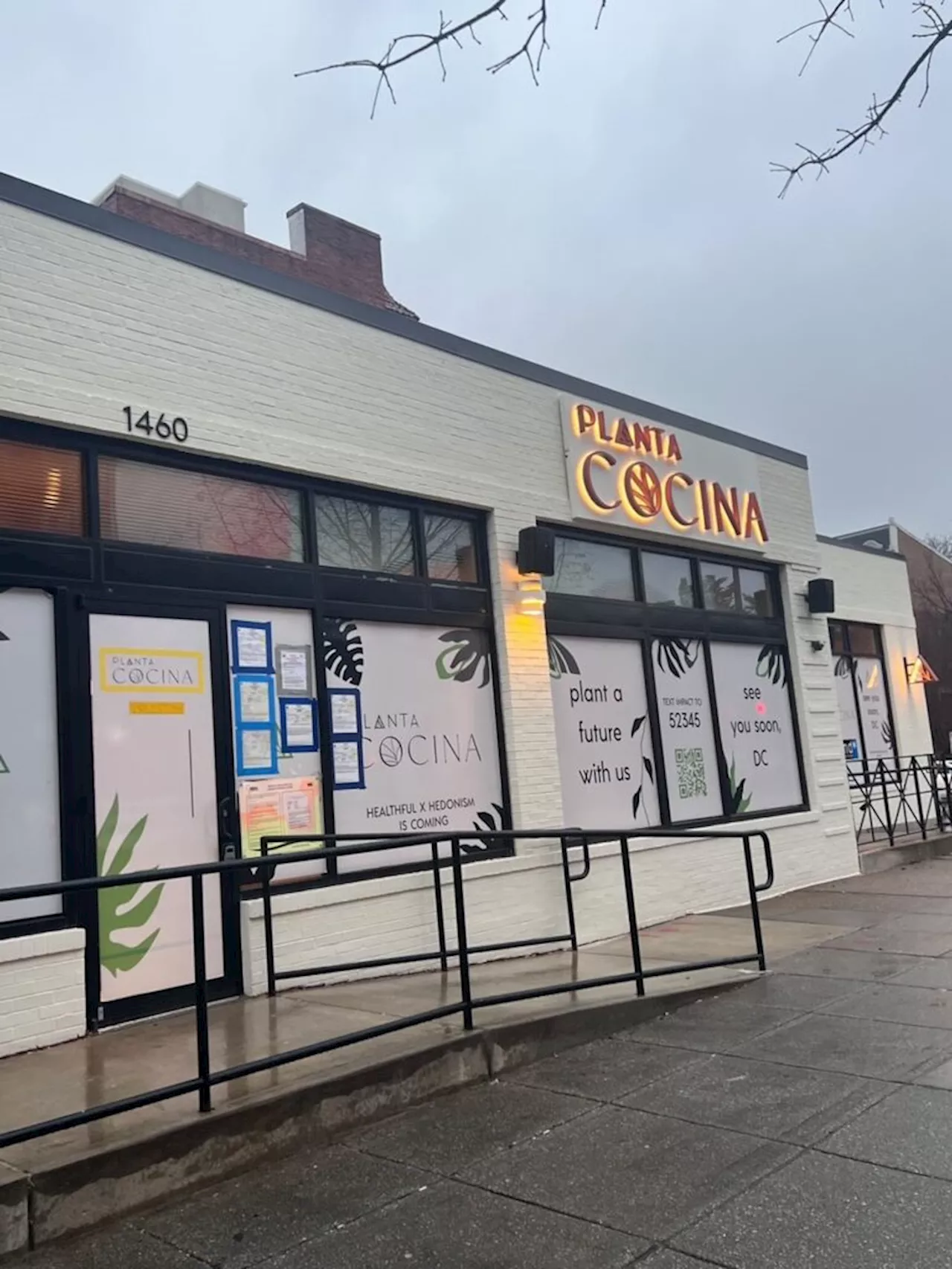 Signage Up for Planta Cocina and Madison Reed on P Street