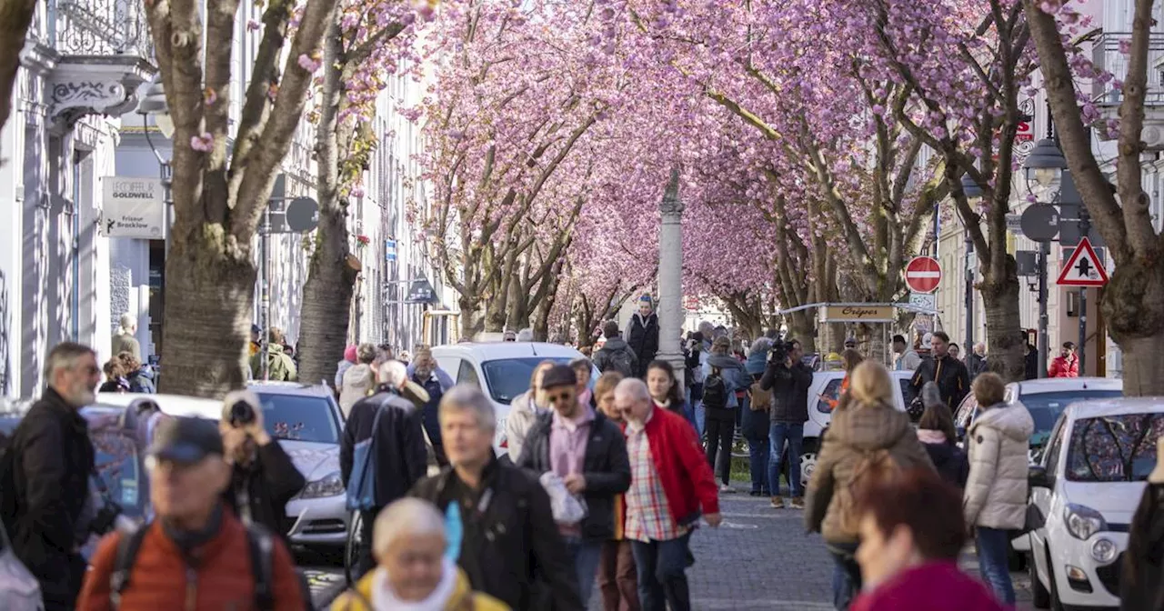 Wetter zu Ostern 2024: Erst mild, dann Regen und Wind