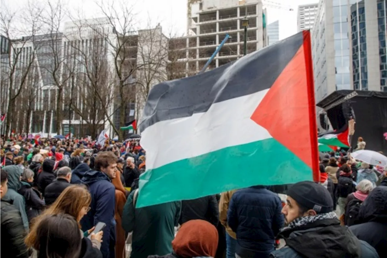 Un collectif a repeint aux couleurs de la Palestine les escaliers de Bueren à Liège