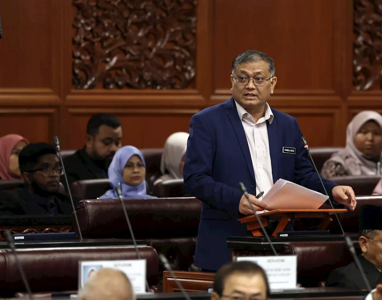 Probe of socks issue will go on despite store's apology, Dewan Rakyat told