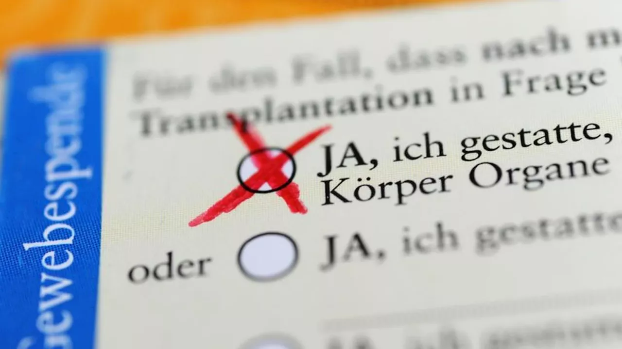 Gesundheit: Was bringt das neue Online-Register zu Organspenden?