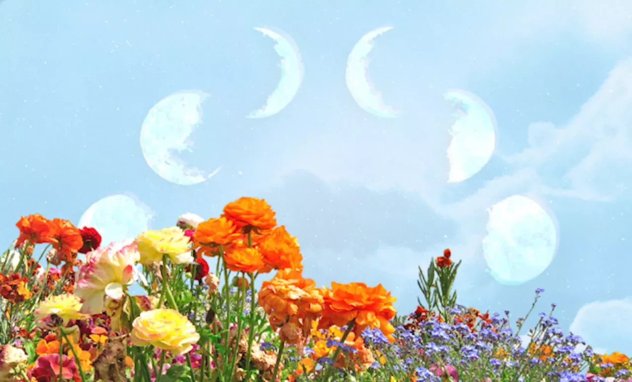 How the Spring Equinox & Astrological New Year 2025 Will Affect Each