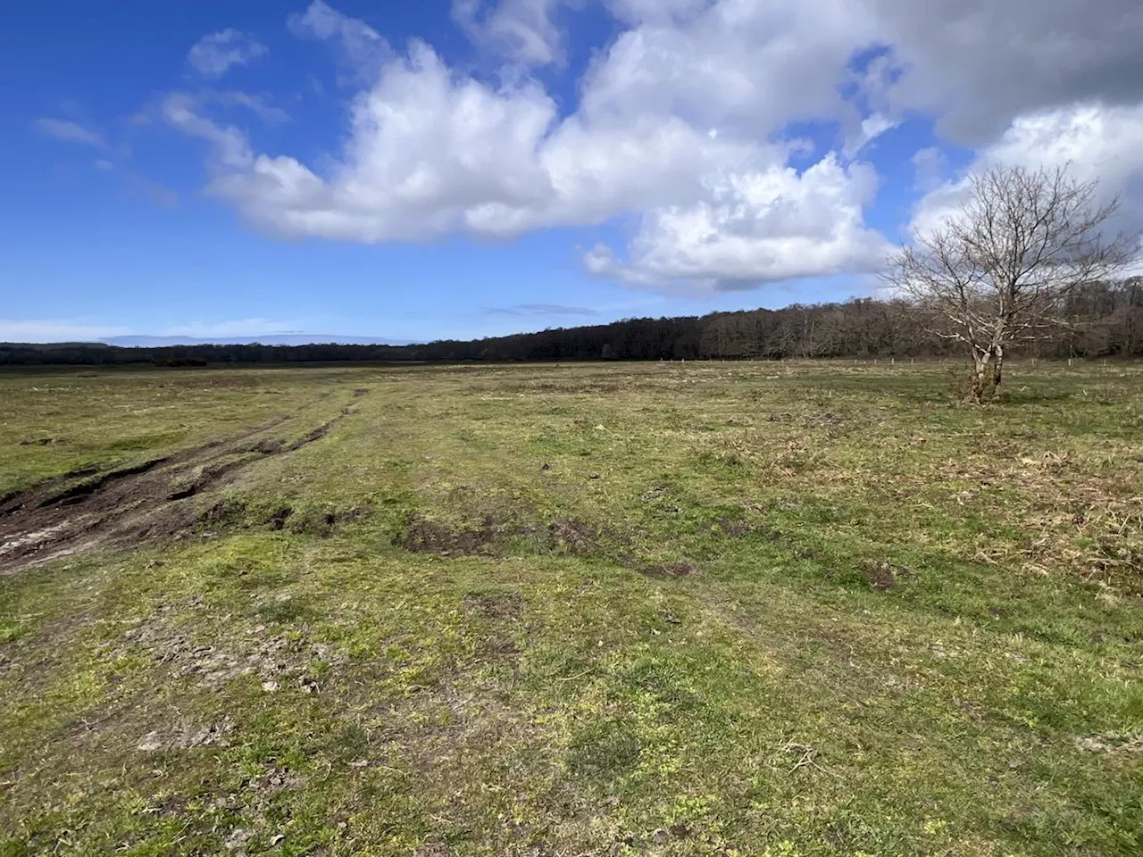 Landes : le corps d’un promeneur retrouvé à l’ancien étang de Lit-et-Mixe