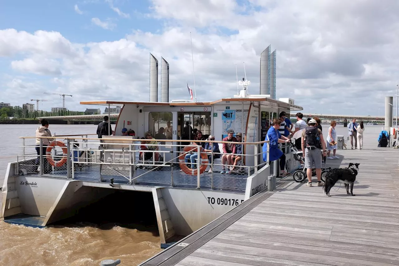 Transport à Bordeaux : le Batcub, c’est 350 000 passagers par an