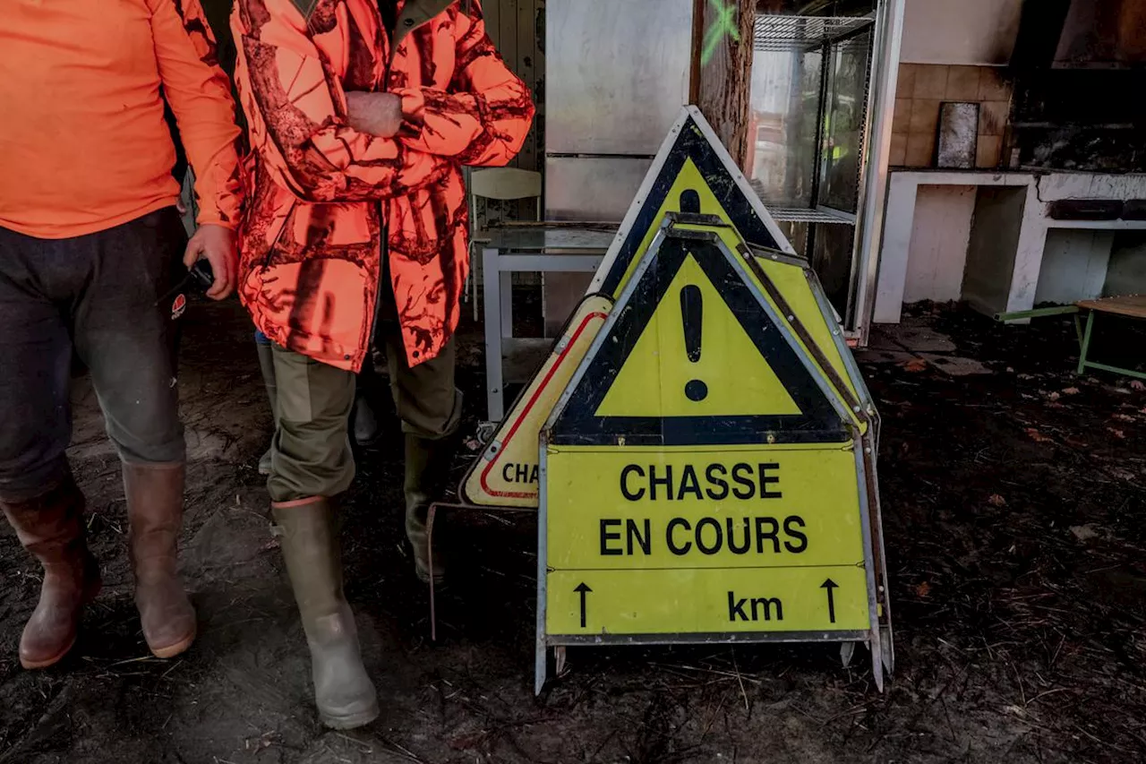 Une anti-chasse en garde à vue en Gironde pour des violences avec arme