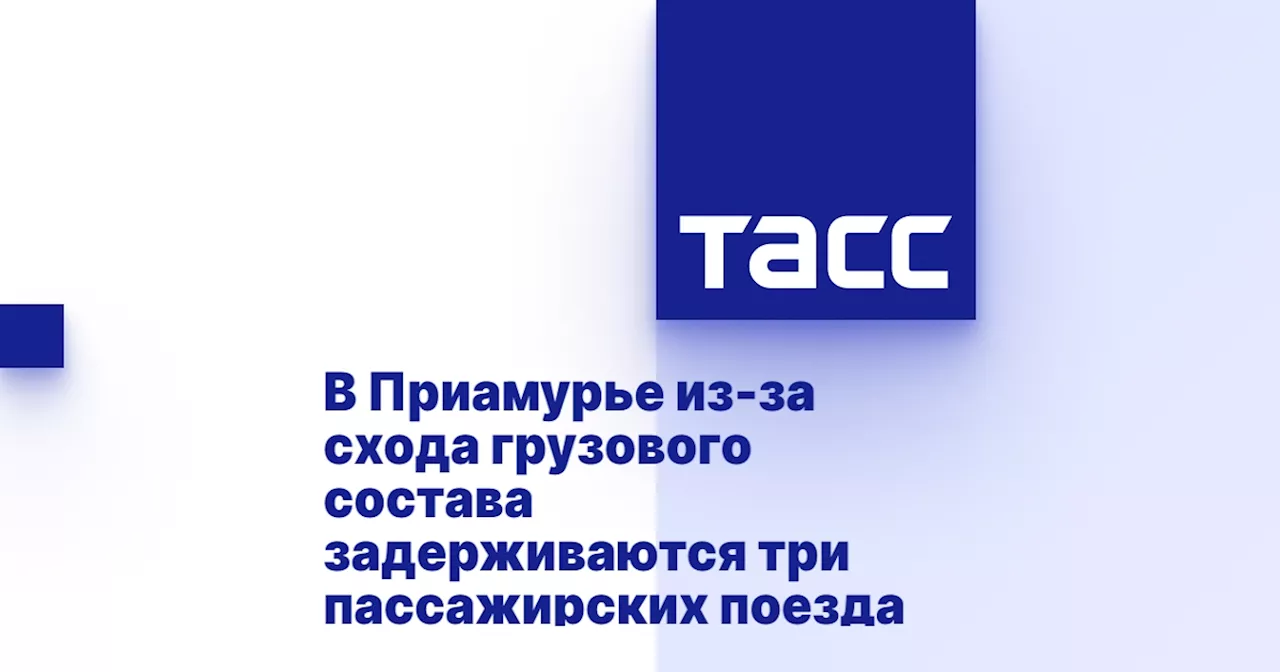 В Приамурье из-за схода грузового состава задерживаются три пассажирских поезда