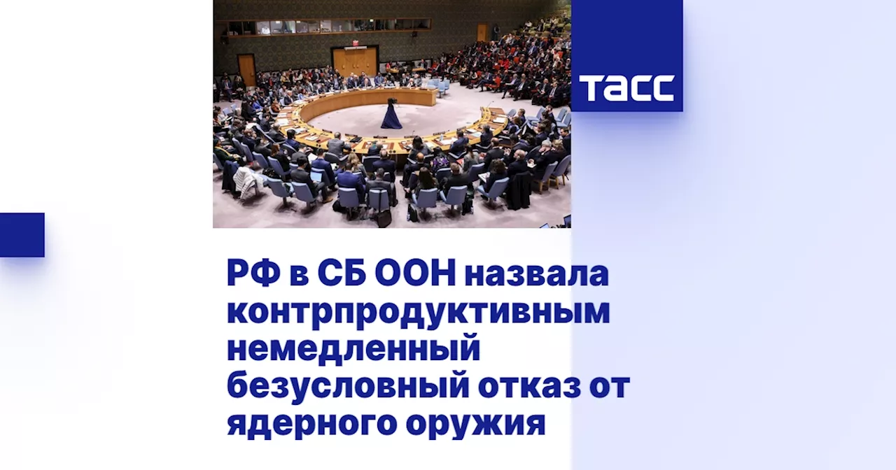 РФ в СБ ООН назвала контрпродуктивным немедленный безусловный отказ от ядерного оружия