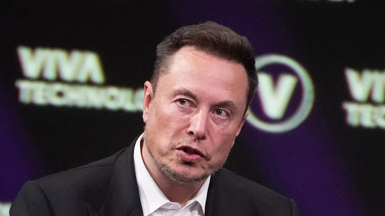 Elon Musk leaps to Trump’s defense and slams ‘misleading’ MSNBC host after ‘bloodbath’ rally rant...