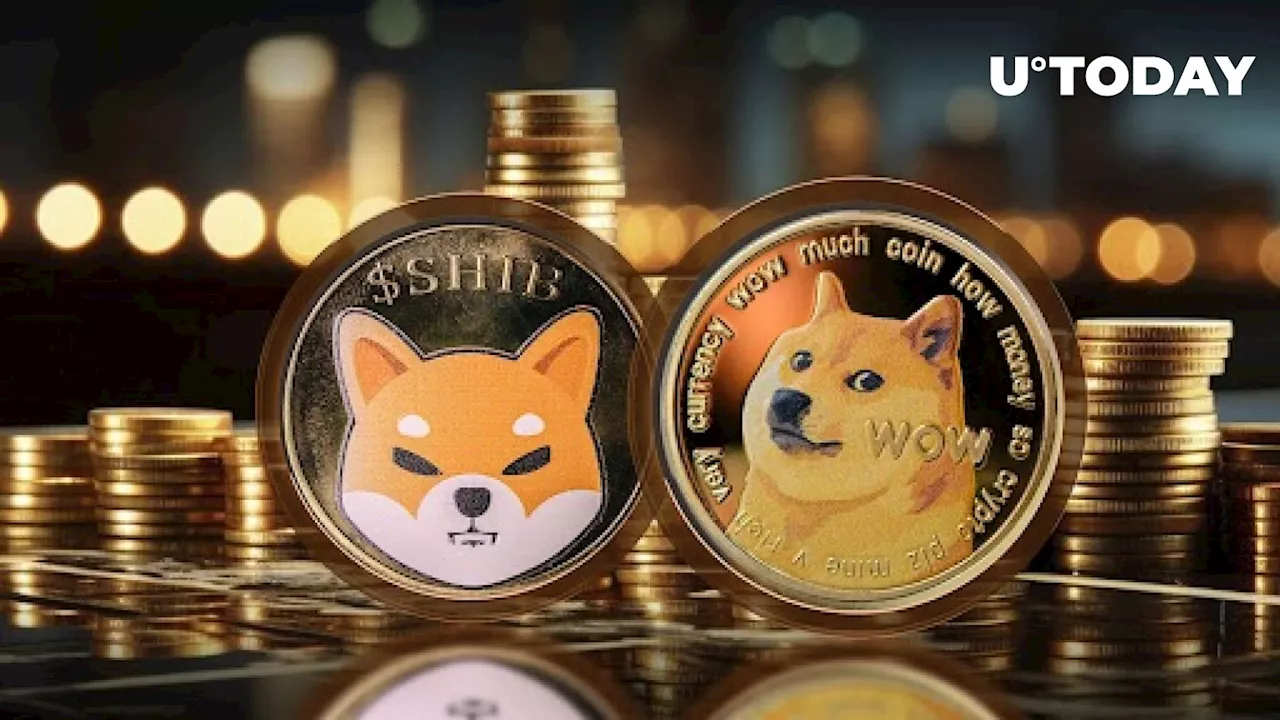 Dogecoin vs Shiba Inu: Which Meme Coin is Best-Performing?