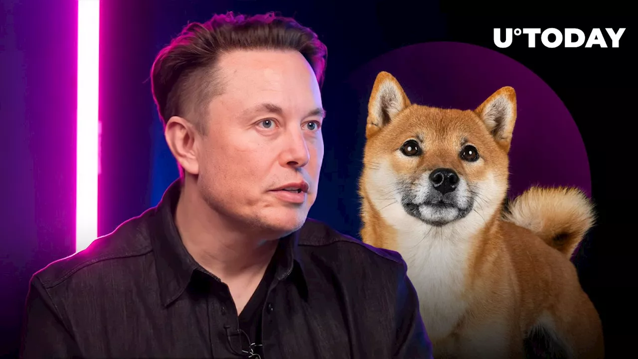 Elon Musk Excites Crypto Community With His New Doge Tweet