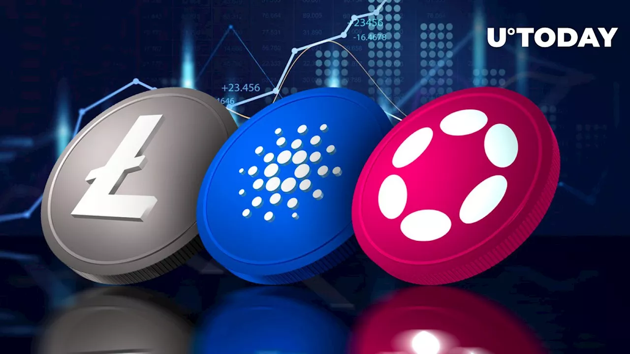 Polkadot, Cardano, Litecoin Attract $6.3 Million Inflows in Epic Market Boom