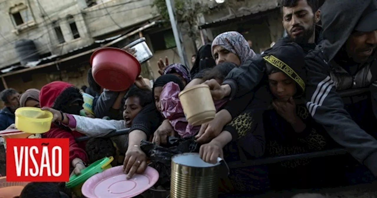 Metade dos habitantes da Faixa de Gaza está em situação de fome catastrófica