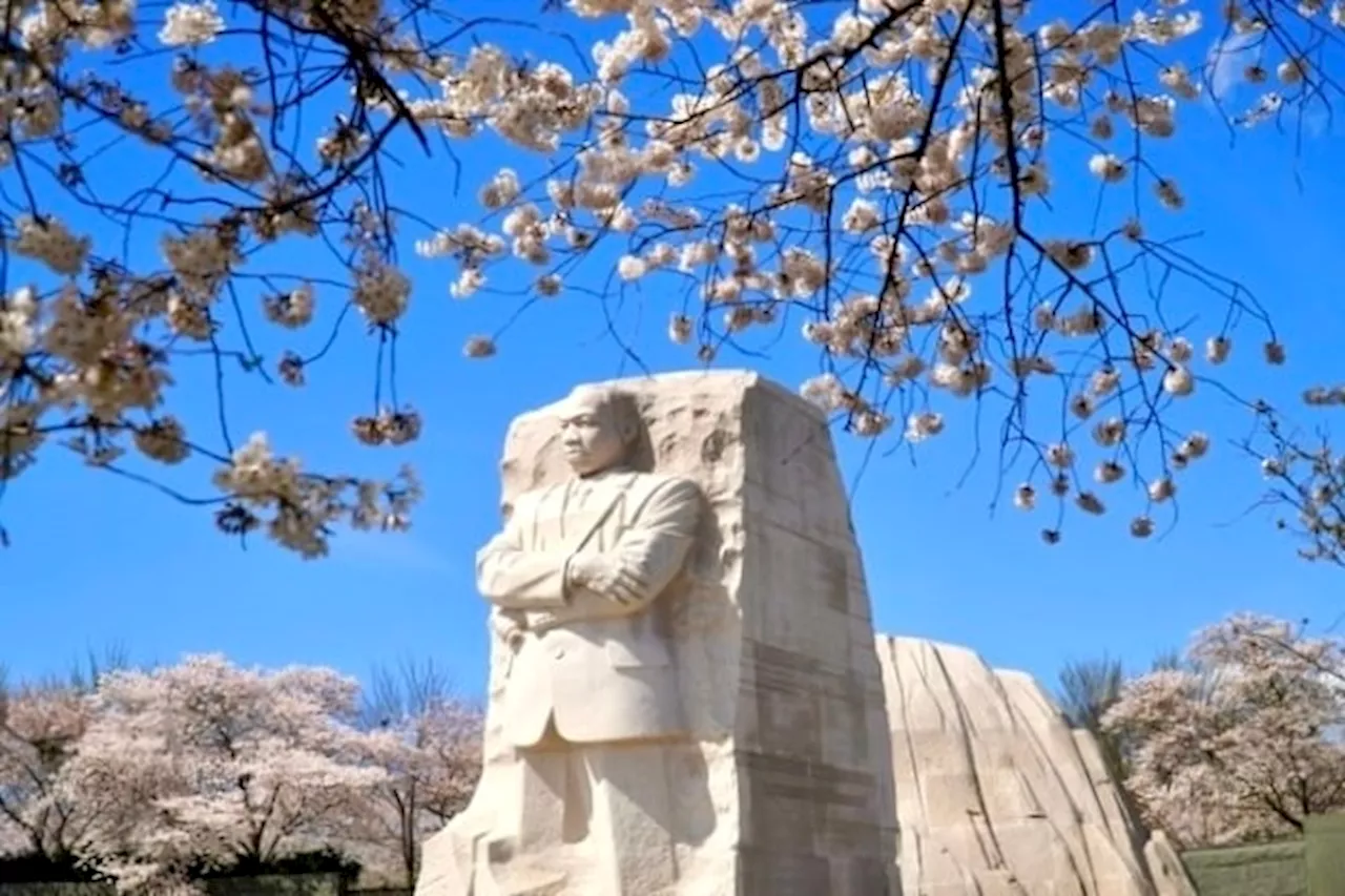 D.C.-area forecast: Highs mostly in the 50s instead of the 70s this week