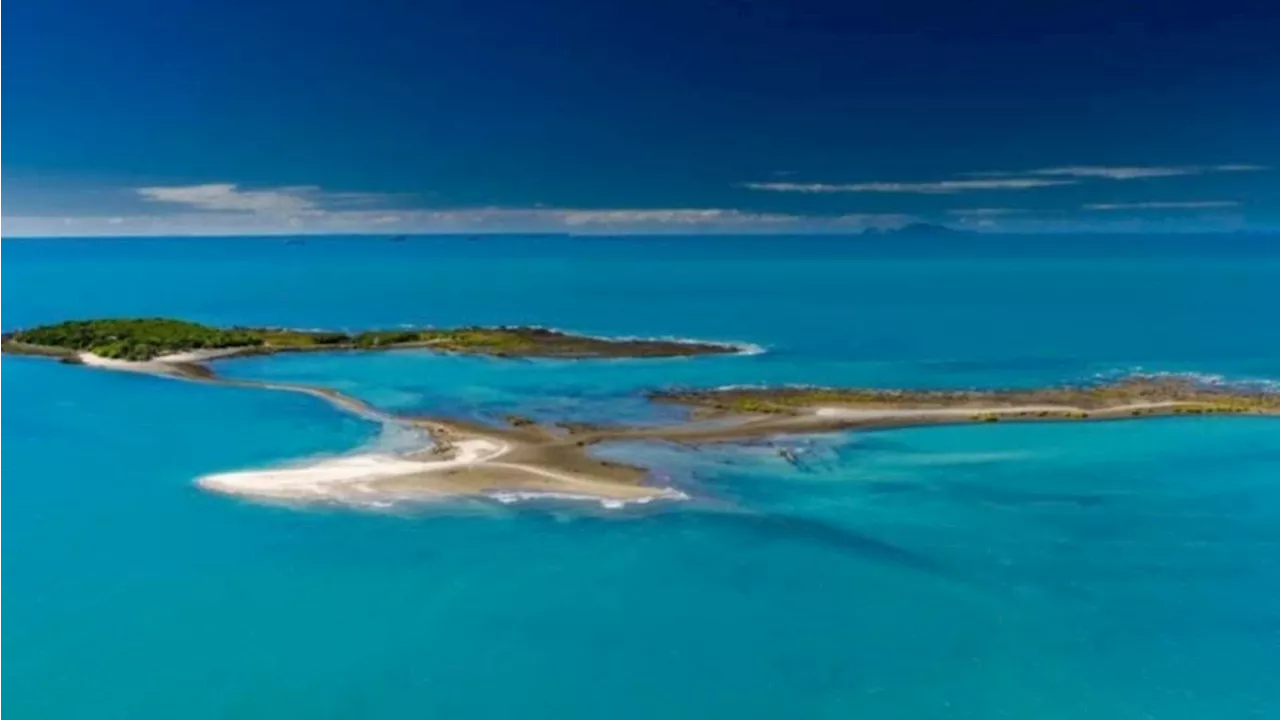 Private paradise on Victor Island hits the market for less than Gold Coast unit