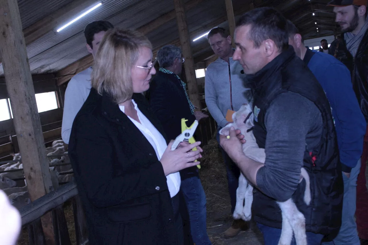 Près de Fougères, les agriculteurs interpellent Marie-Pierre Vedrenne sur les normes européennes